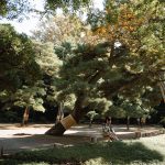 BramAmiNIUA_Japan011